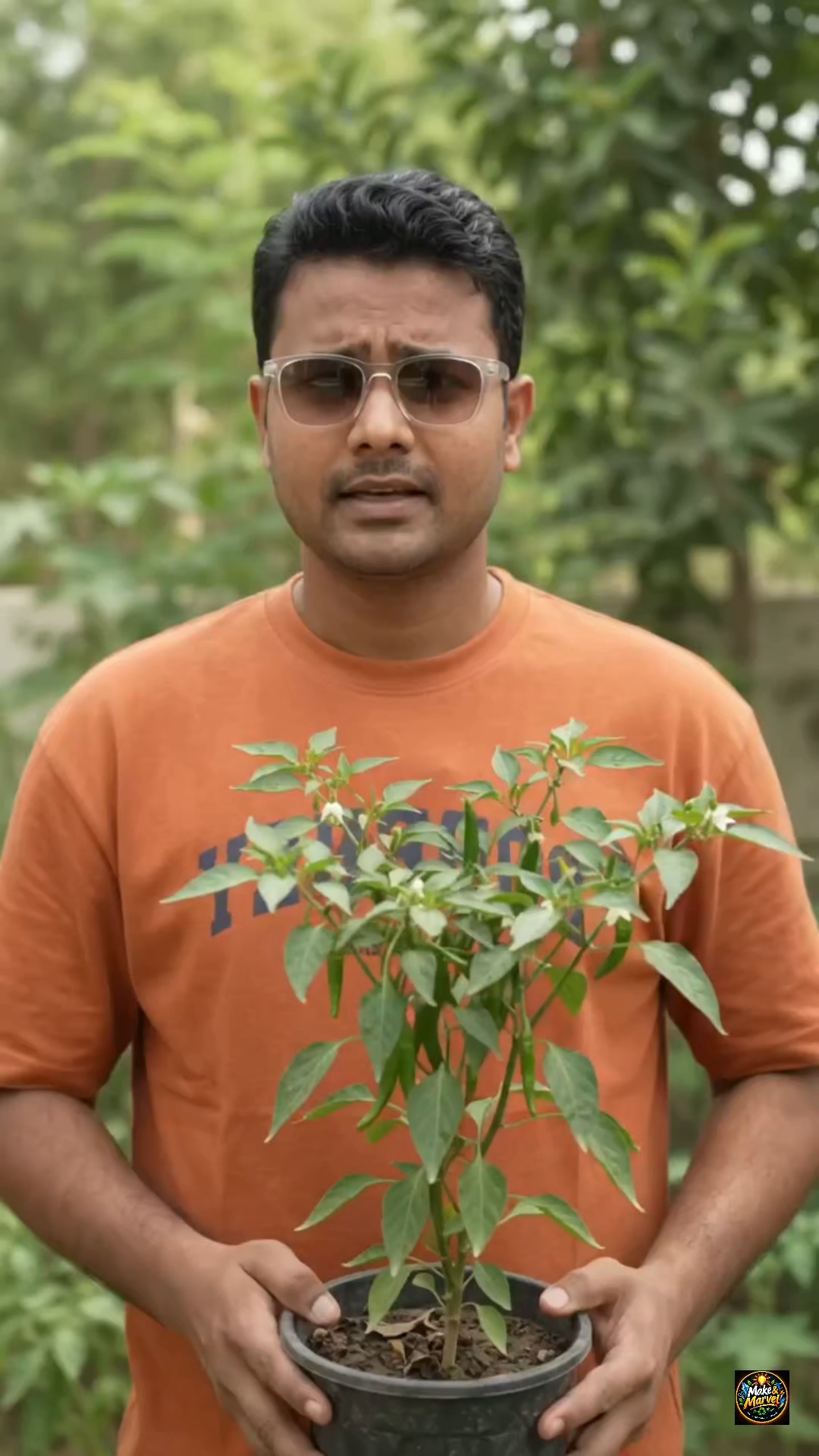 🌶️ मिर्च के पौधे में फूल नहीं आते? बस ये 2 गलतियाँ सुधारें! | Chilli Plant Care #Shorts