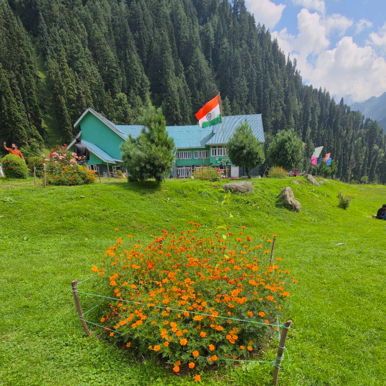 My Nature Log on Bideo