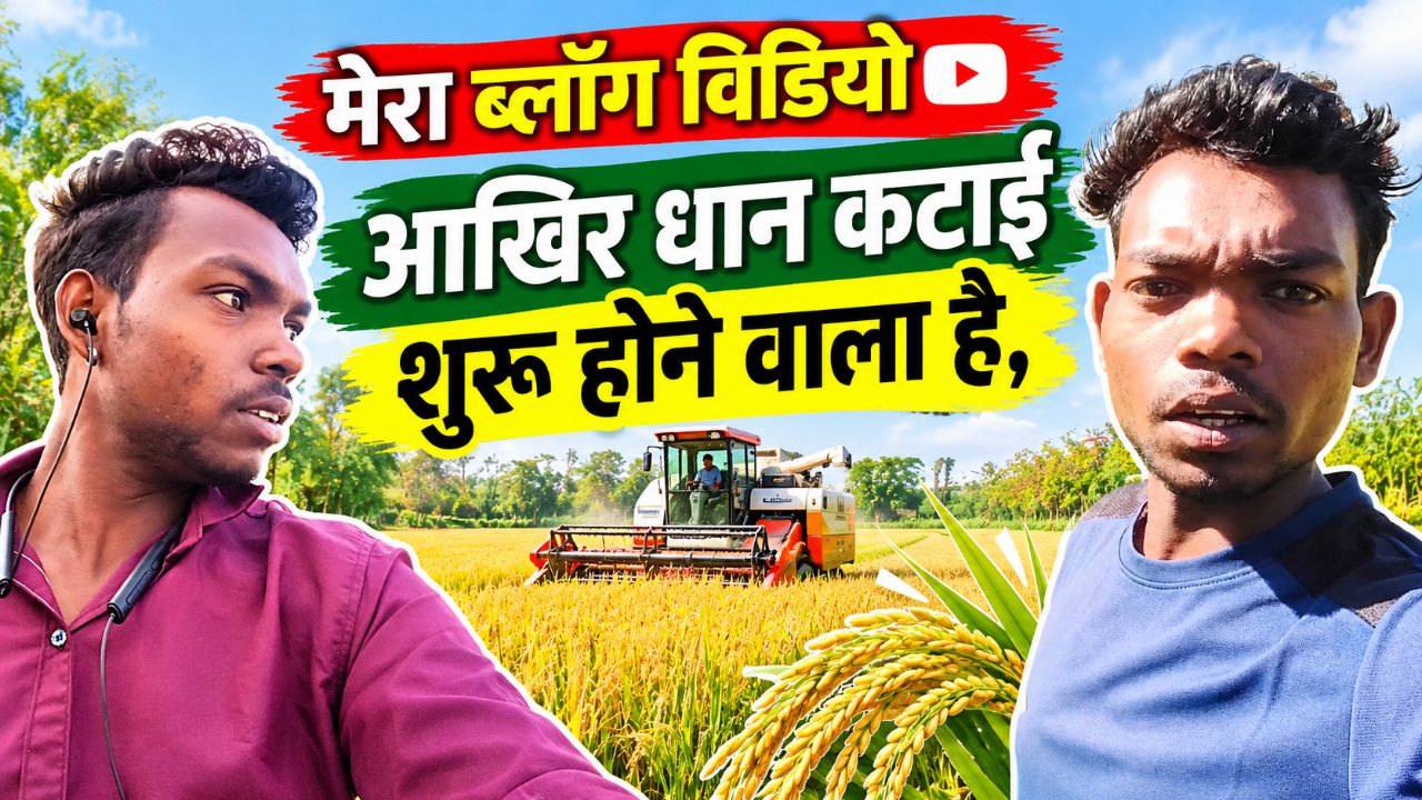 Fast vlog Vedio हमारा धान कटाई शुरू अब होगा