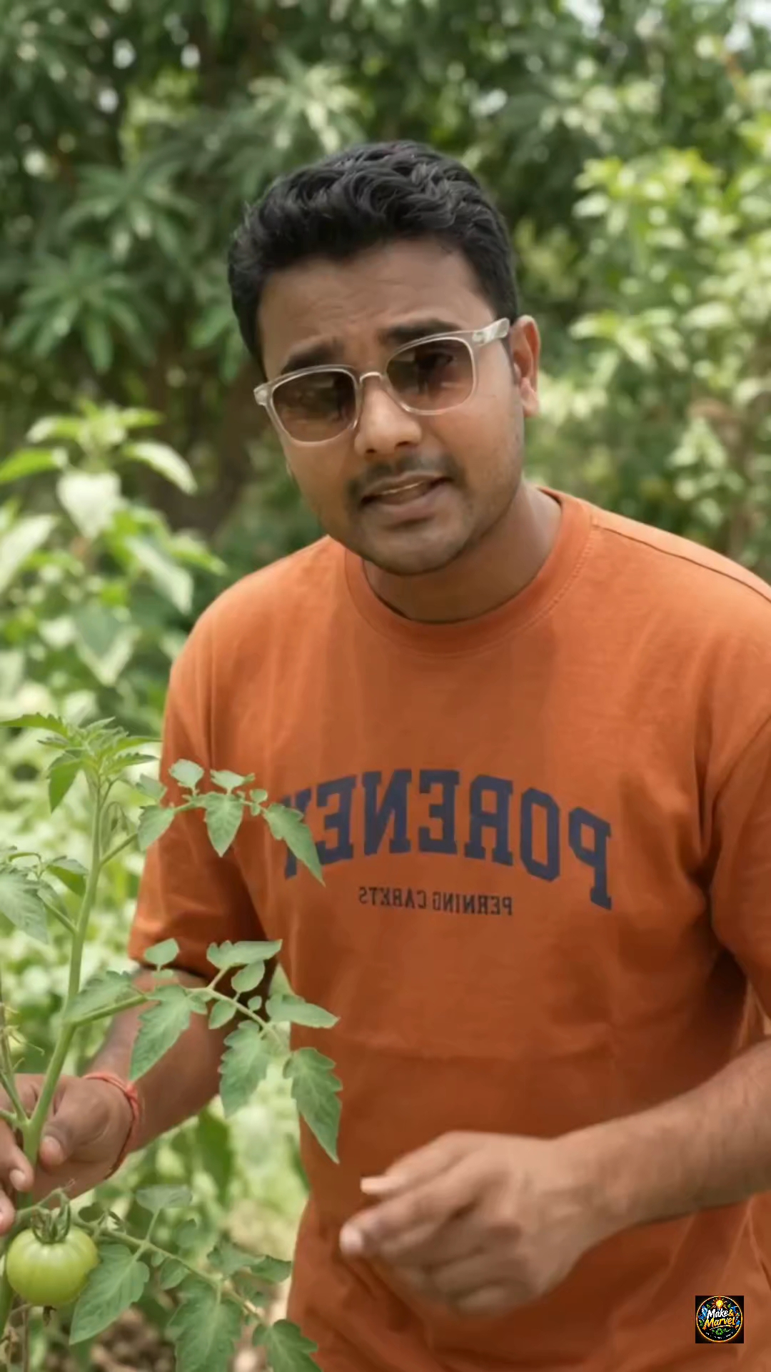 🍅 टमाटर नीचे से काले होकर सड़ रहे हैं? 😱 Calcium की कमी हो सकती है! 🌱 #Shorts