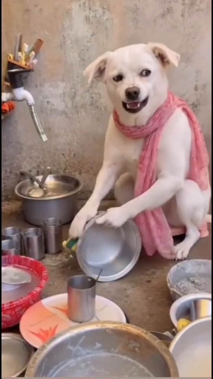 परेशानी बहुत बढ़िया सुनो