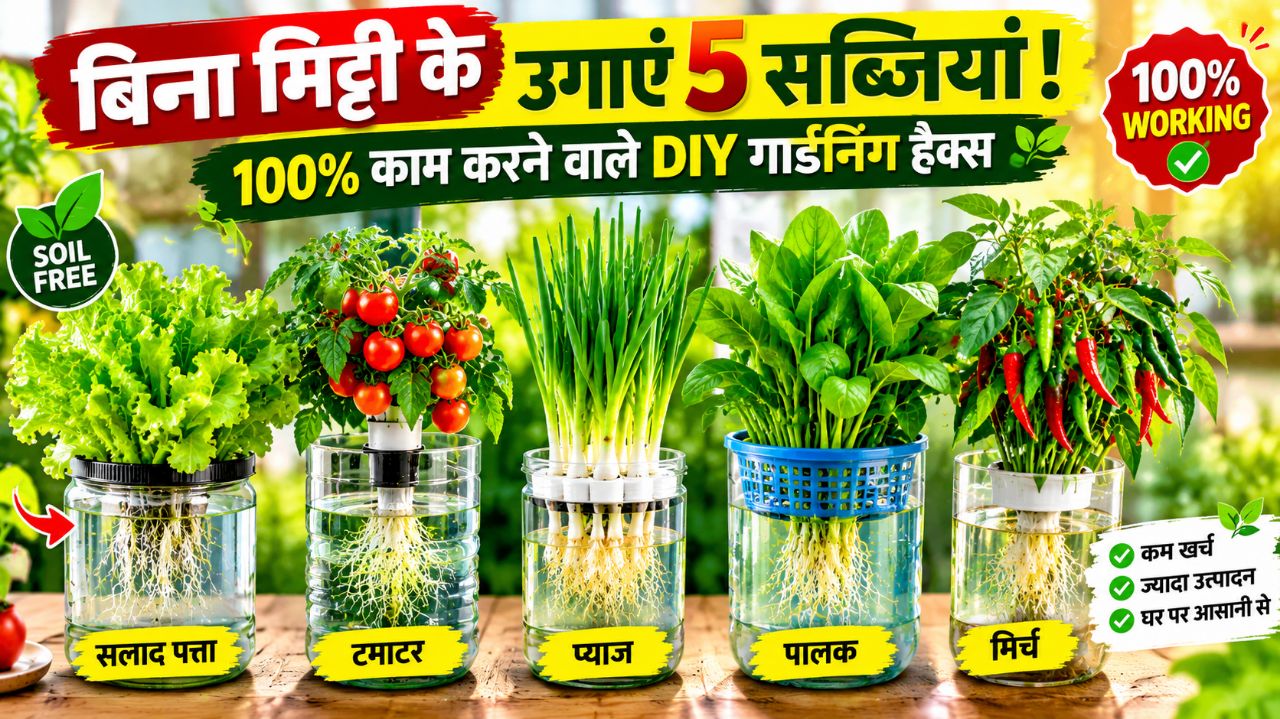 🌱 बिना मिट्टी के उगाएं 5 सब्जियां! 😱 घर पर करें Soil-Free Gardening | DIY Gardening Hacks