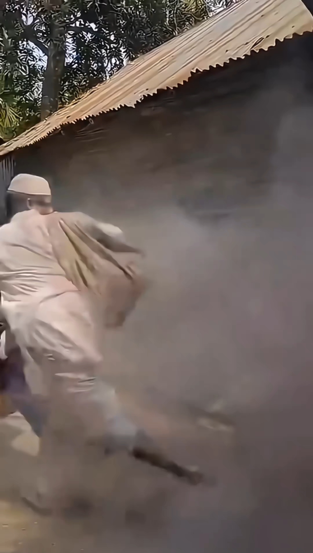 Top 7 funny videos 2026