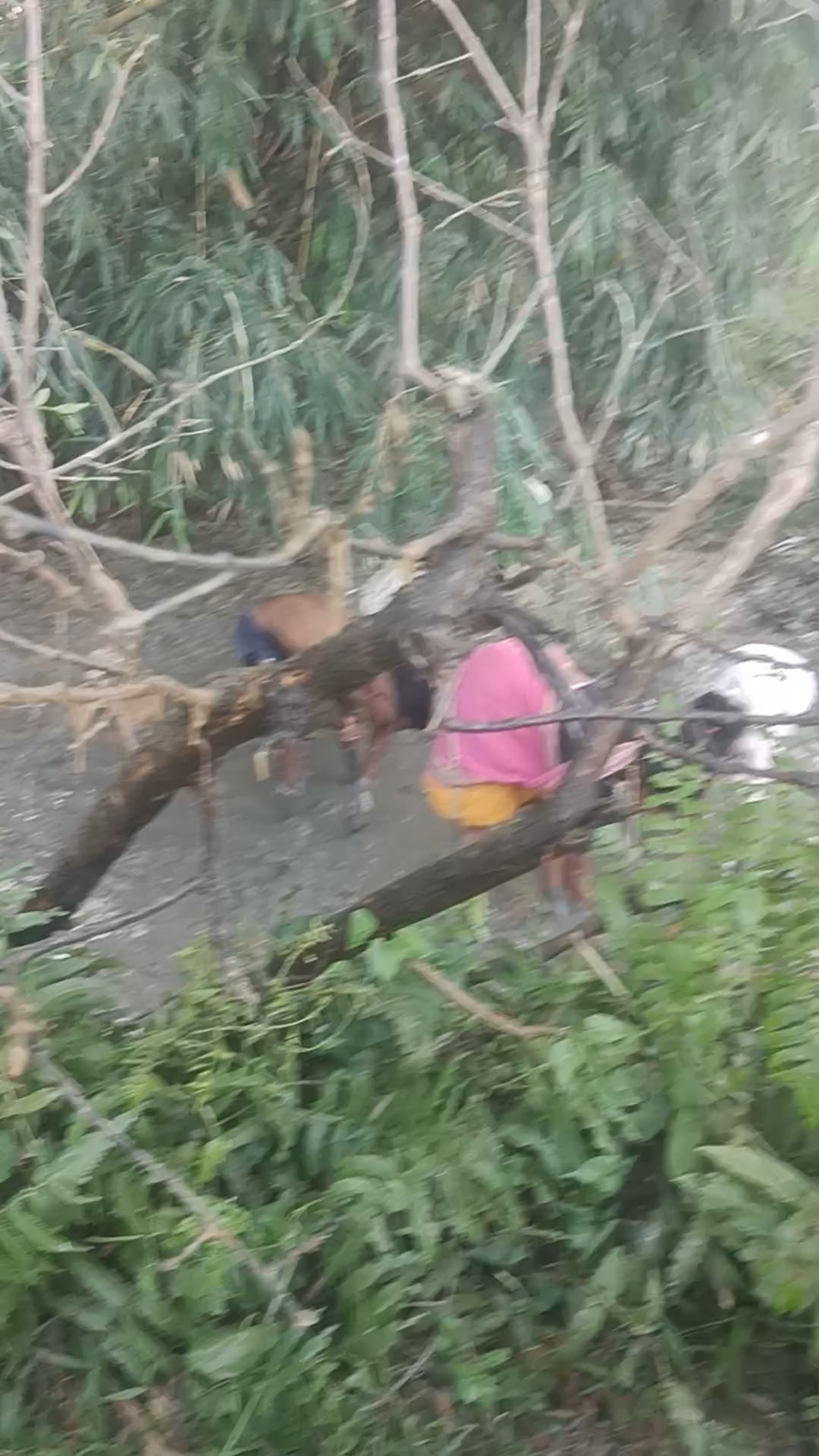 For a fishing video