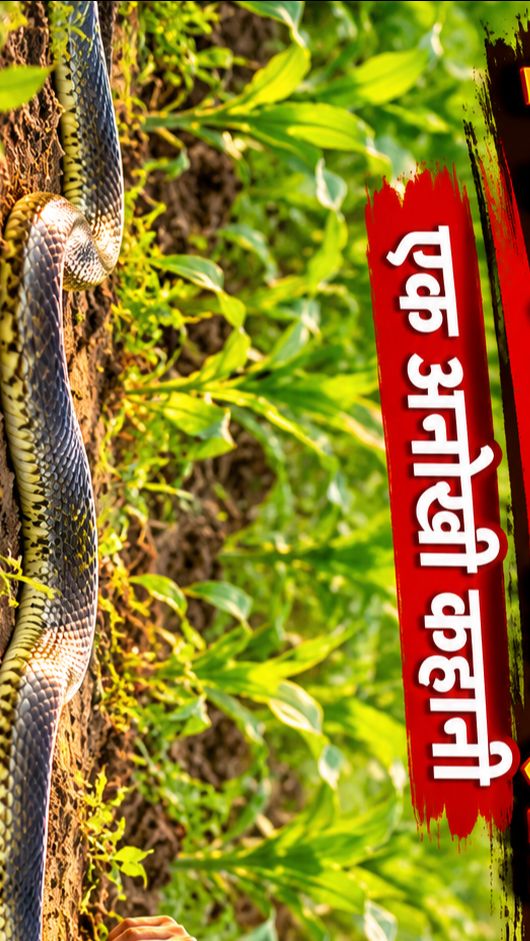 🐍👻 भूत बना साँप खुद डर गया! 😂🤣 सबको डराने निकला था, लेकिन खुद ही डरकर भाग गया! 😱🐍