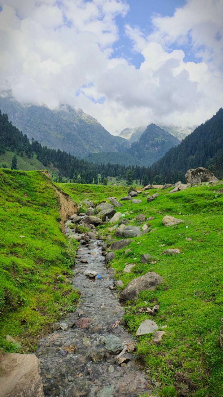 Pahadon ki khamoshi mein ek alag hi sukoon hai,
Badalon ki chaadar mein qudrat ka junoon hai. ☁️🏔️