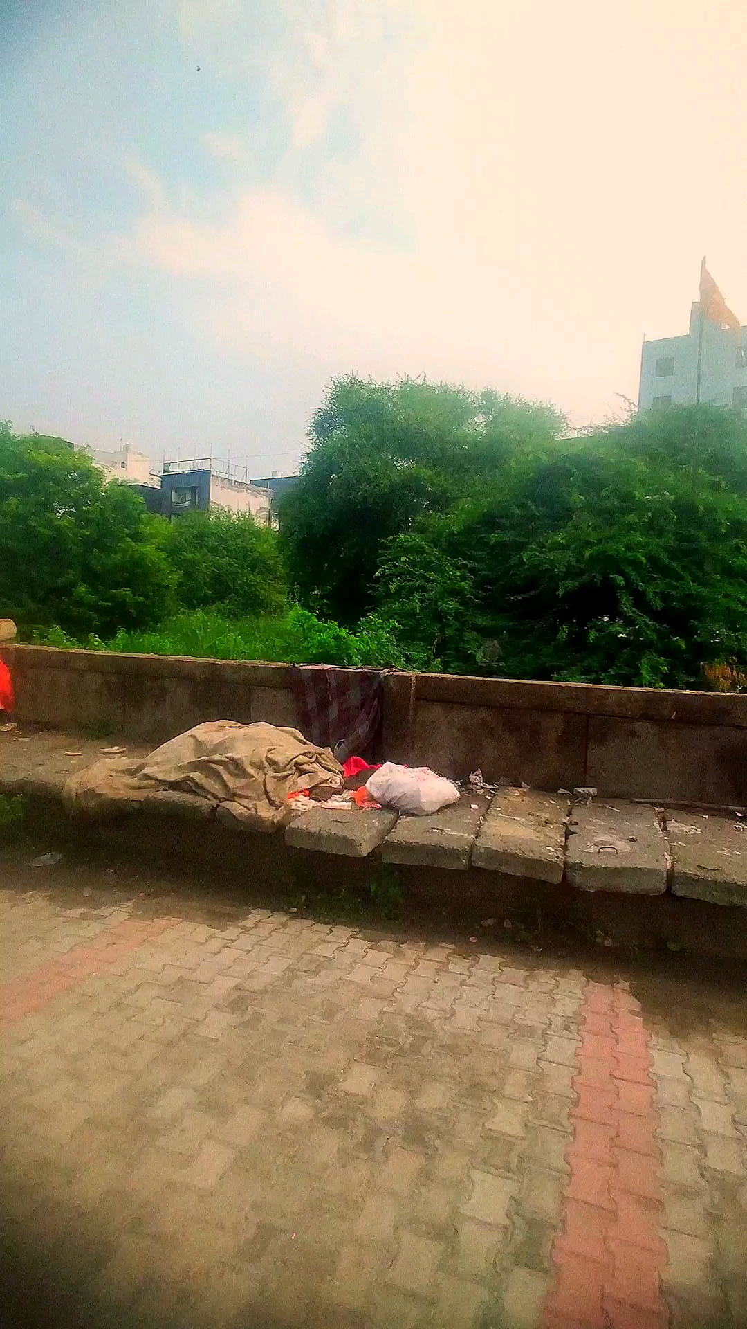 Thakur dawar noida sector 44 chelllra vllage