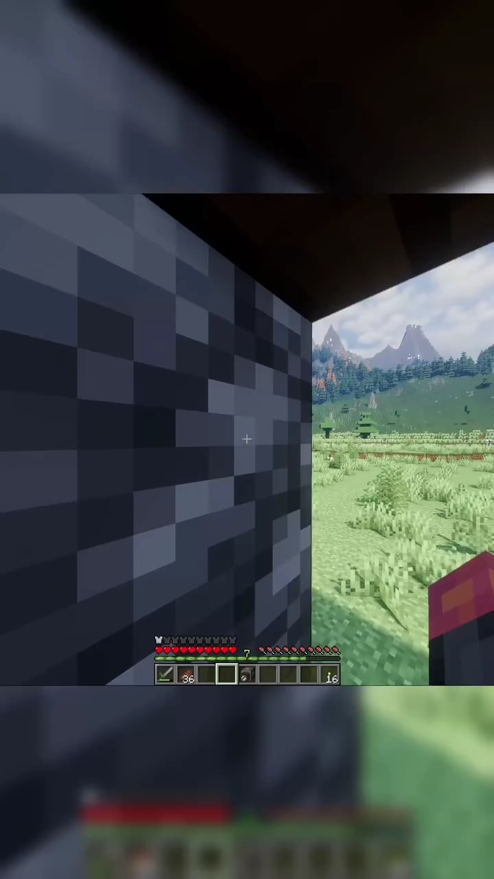 Minecraft video