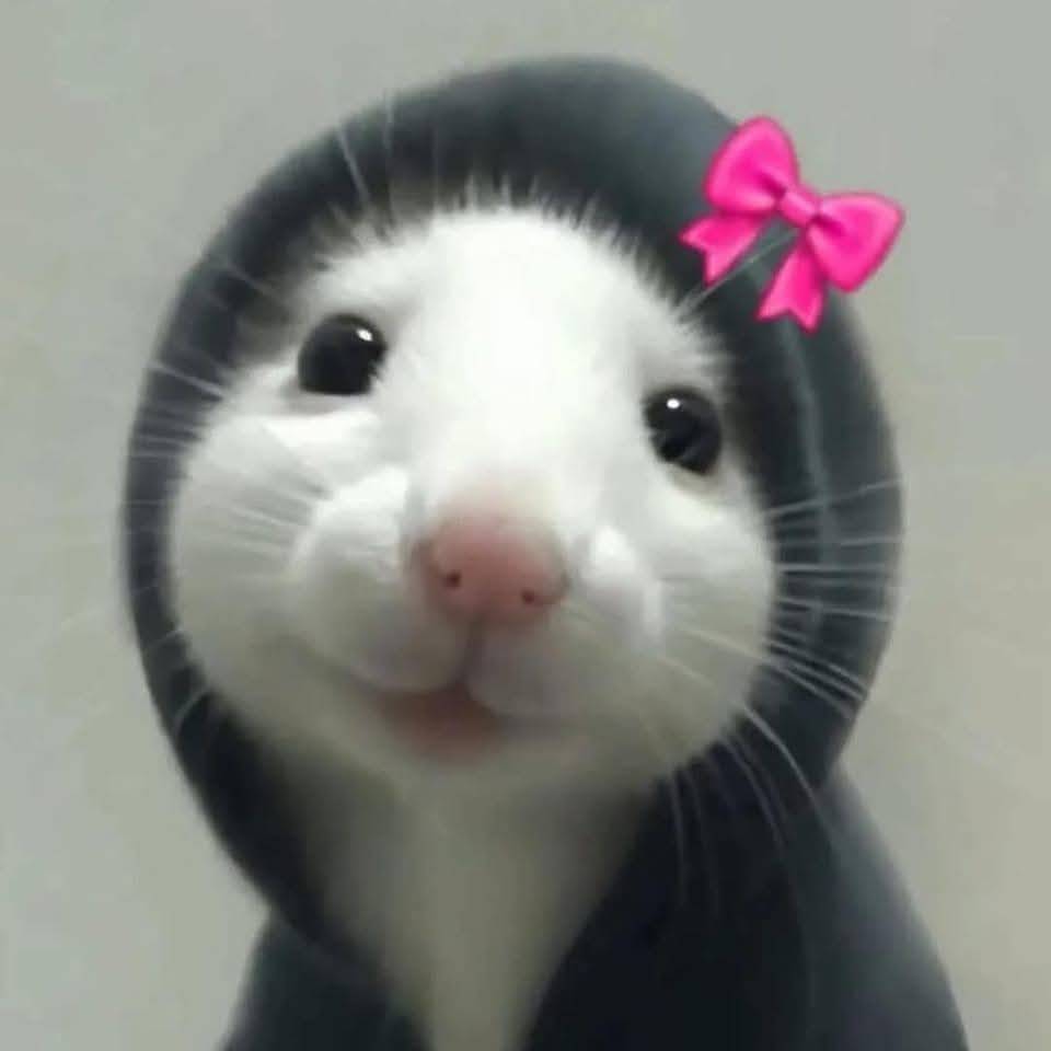 Clonemoon369 on Bideo