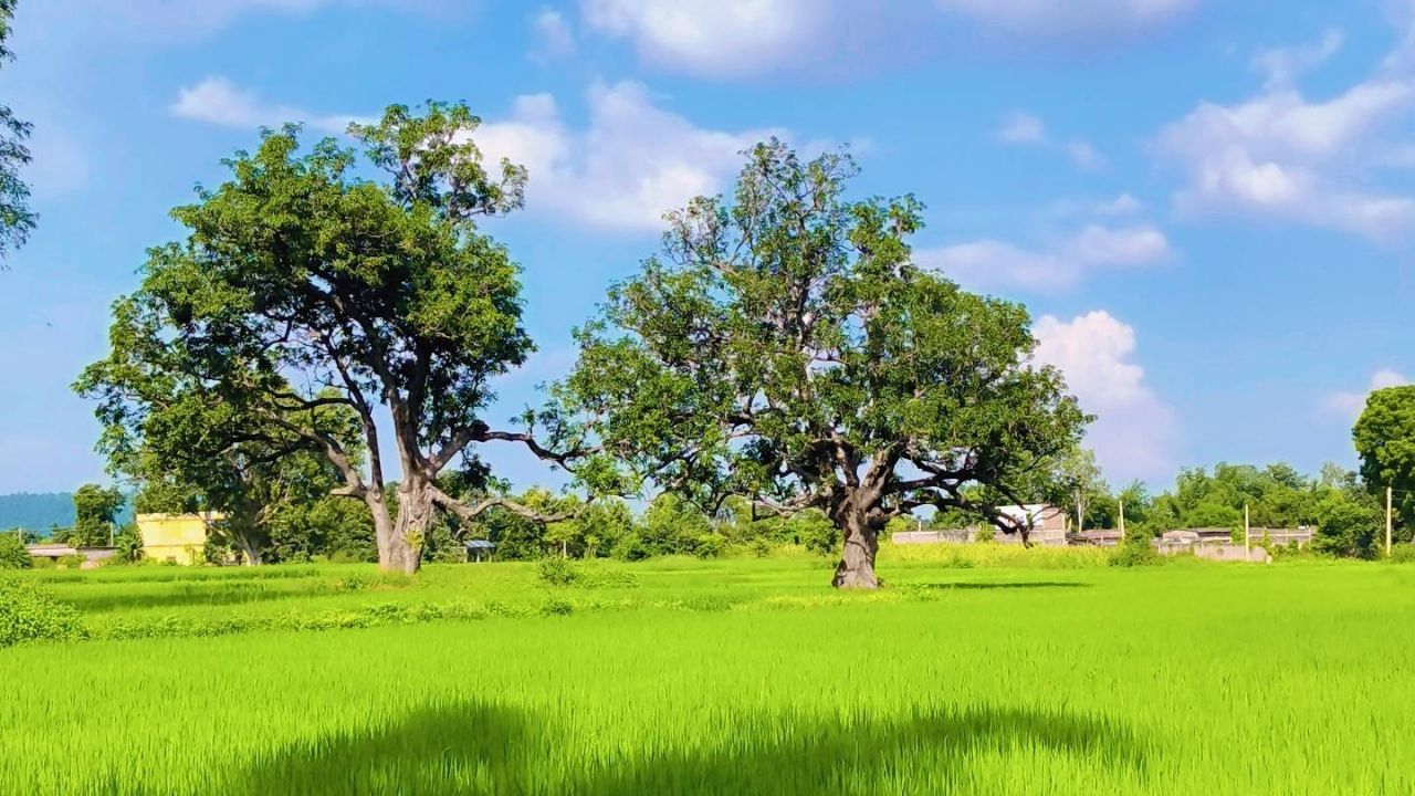 Beutiful