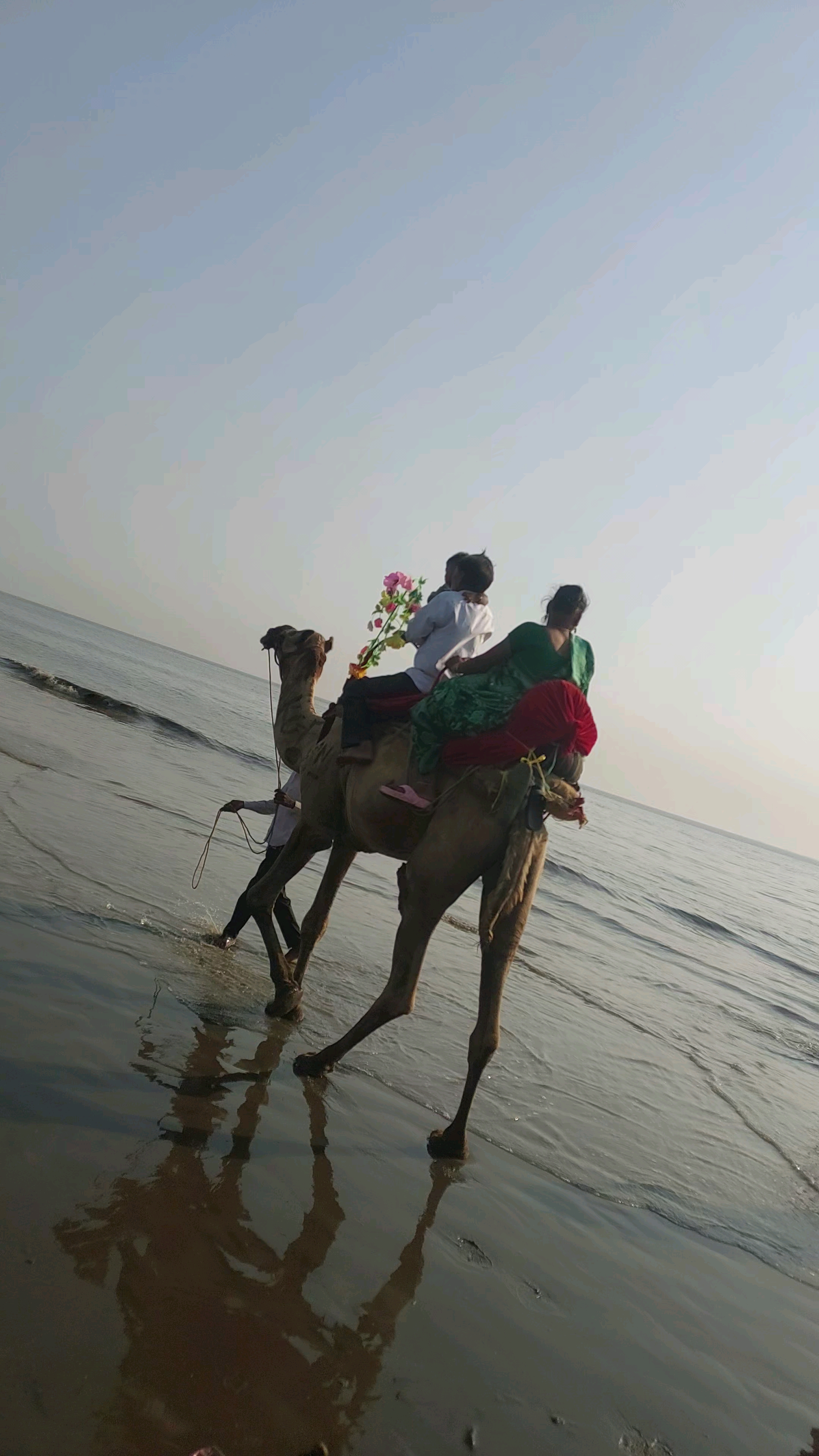 Camelride