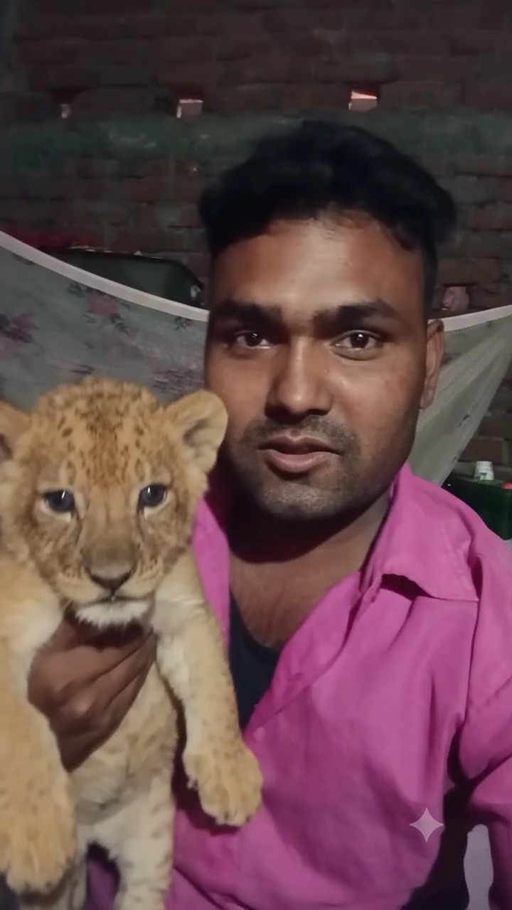 Hi aise banaa hua video aap log dekhiae