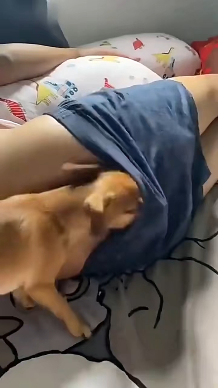 Full funny #funny #viral