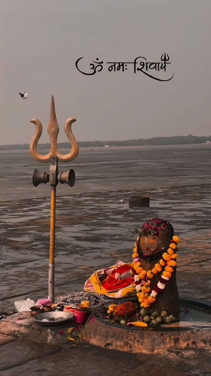 Jai bholenath ji 🙏♥️