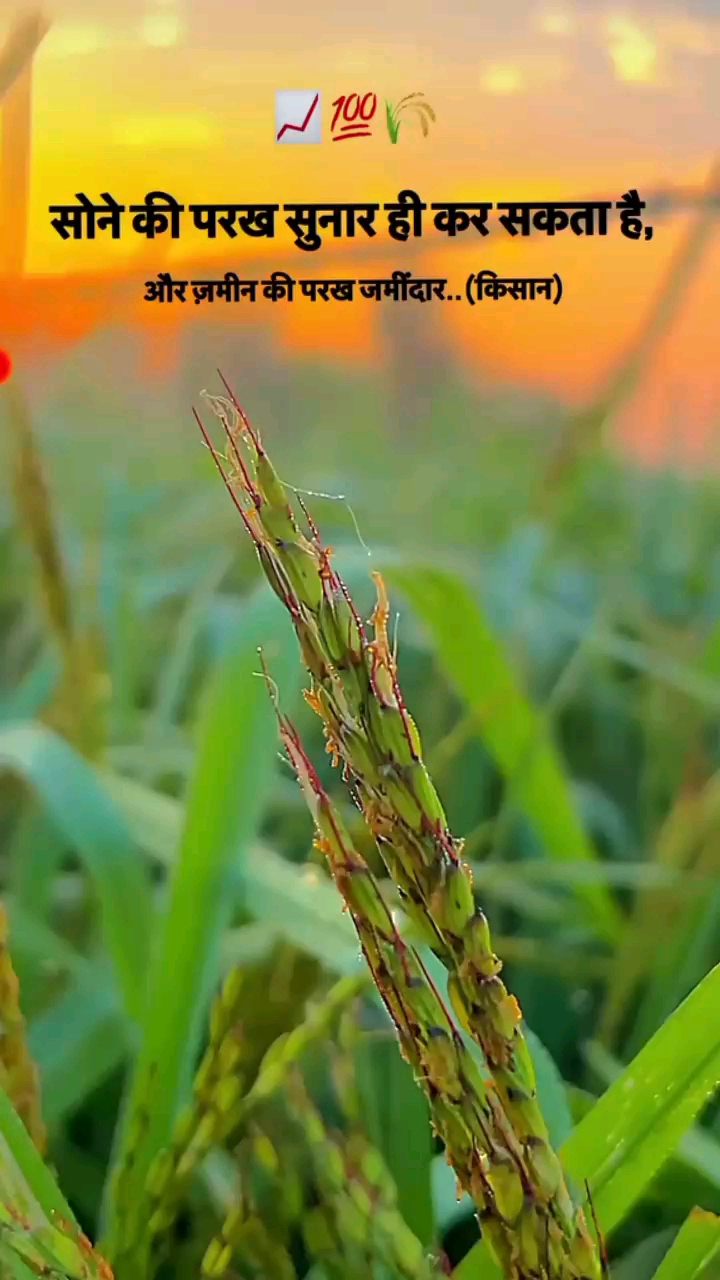 Farmer life