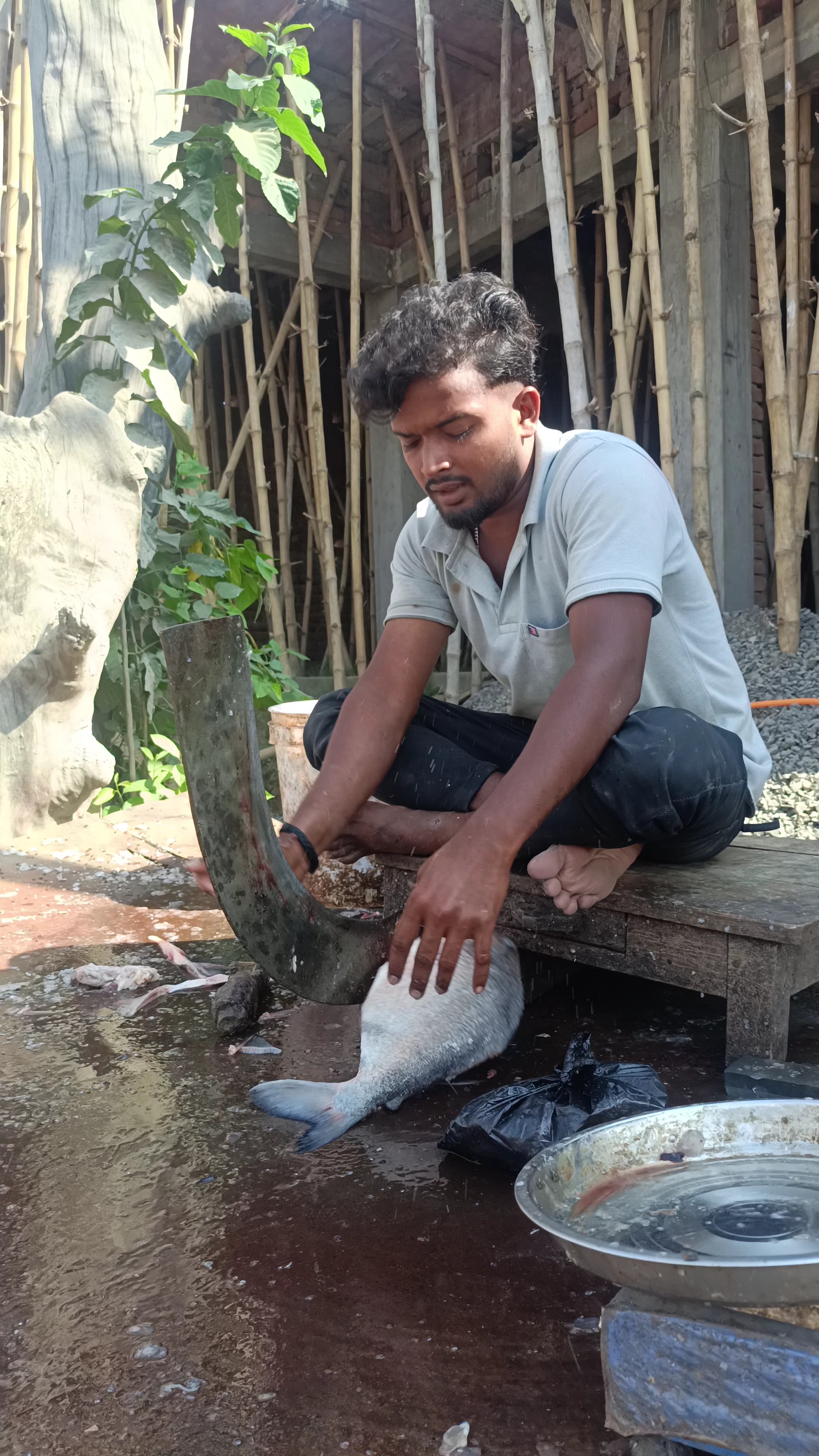 #trading vide #viral #fish coutin
