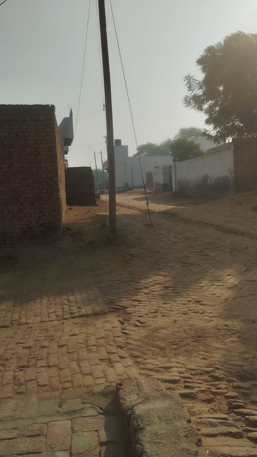 Virat kohli viral shorts video #virat @Viratbhai