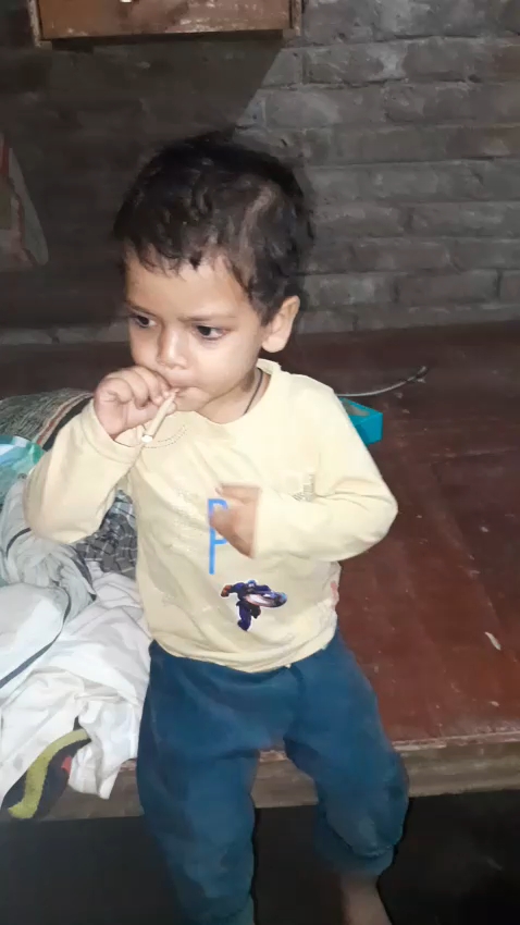 Bebi