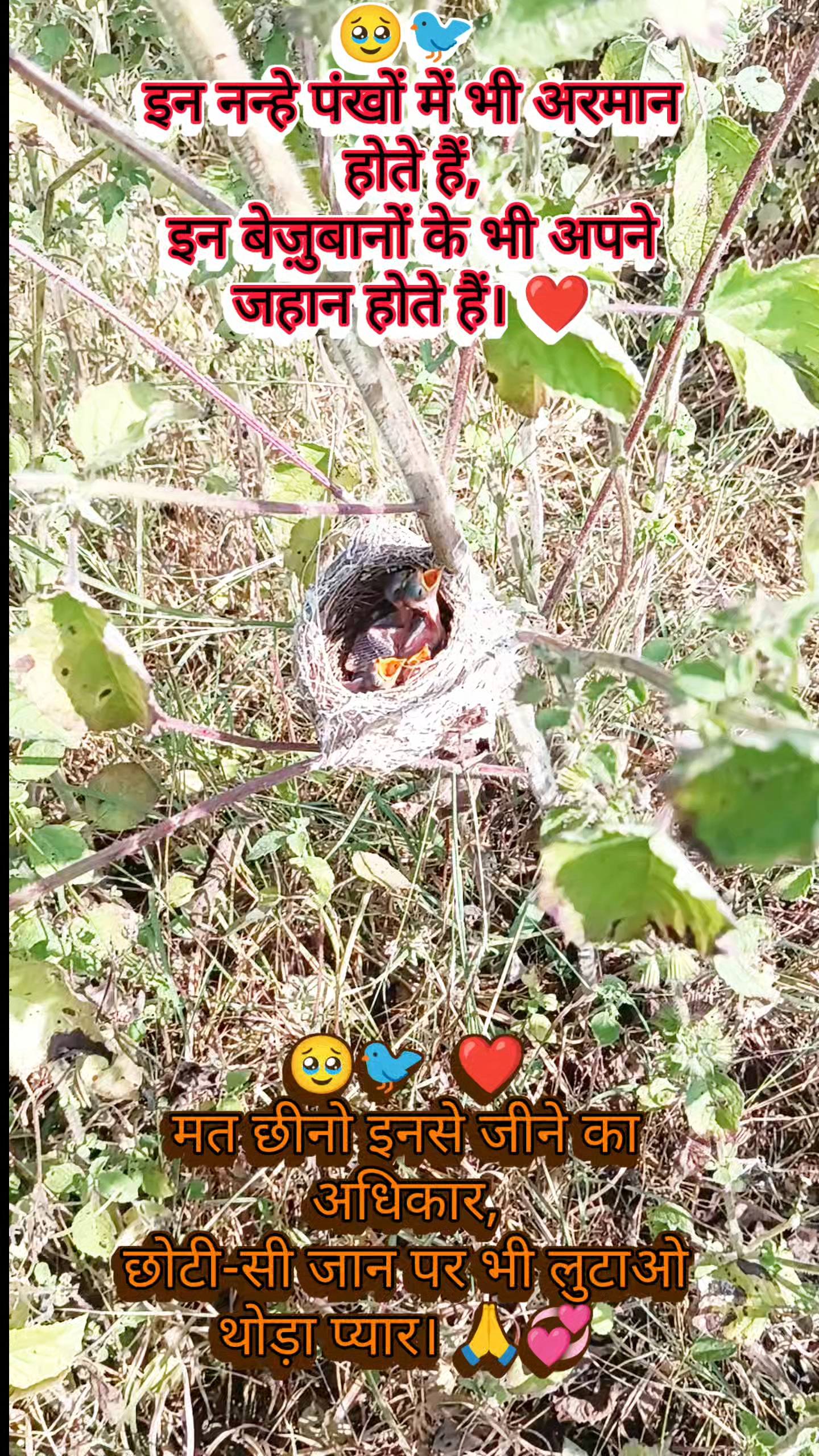 🙏 सुबह से बैठा हूँ, किसी ने राम-राम नहीं लिखा 😢🚩 जय श्री राम ❤️