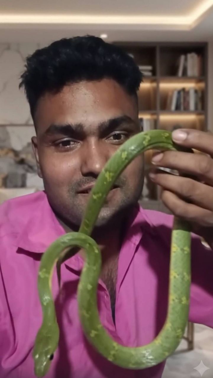 Snake dekhiae kaise ban raha hai