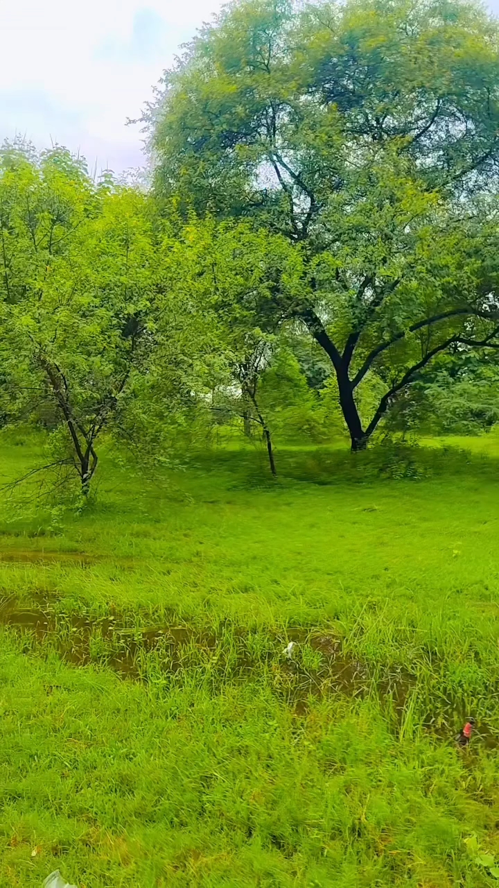 Pyar hamara amar rahega