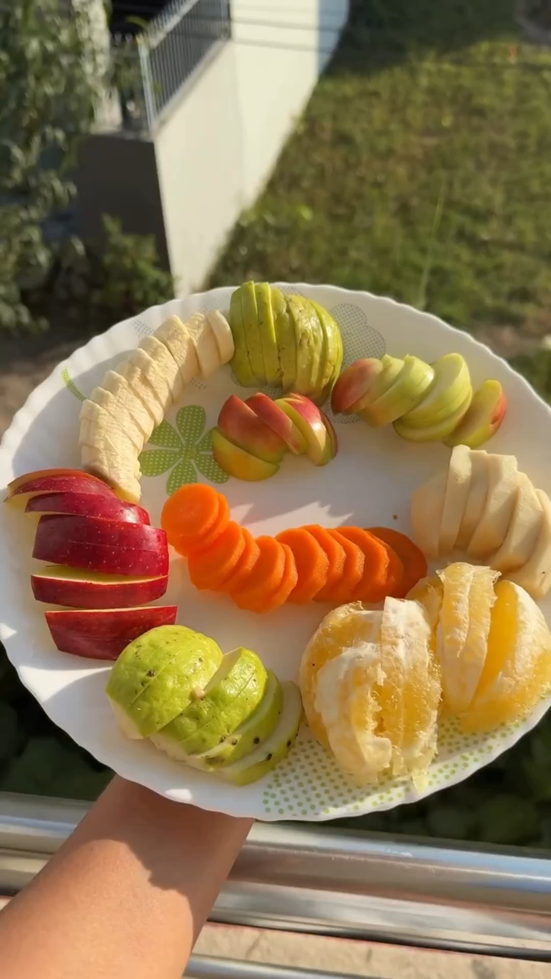 🌍 दूसरे देशों के लोग रोज़ अनार खाते हैं 🍎😂