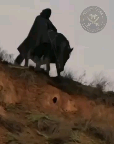 Sultan salahuddin ayyubi