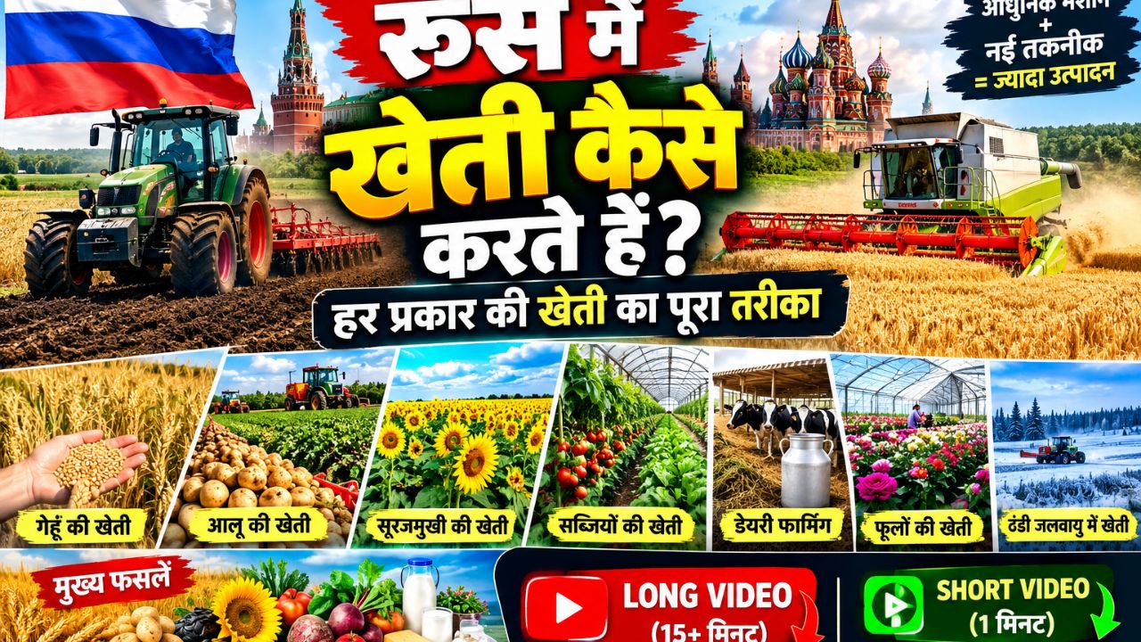 टाइटल: रूस में खेती देखकर हैरान रह जाएंगे! 😲🌾 #Shorts