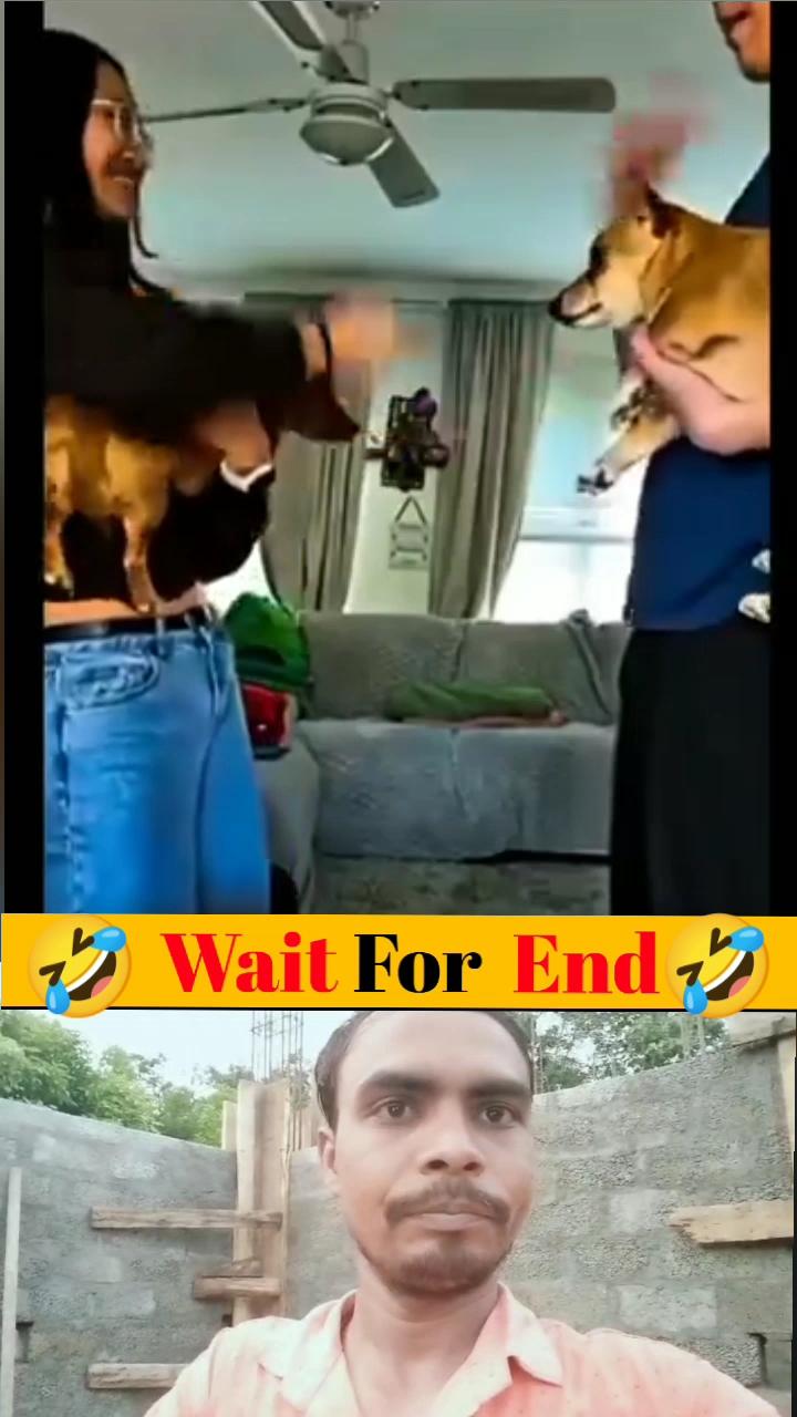 Funny reaction video 🤣