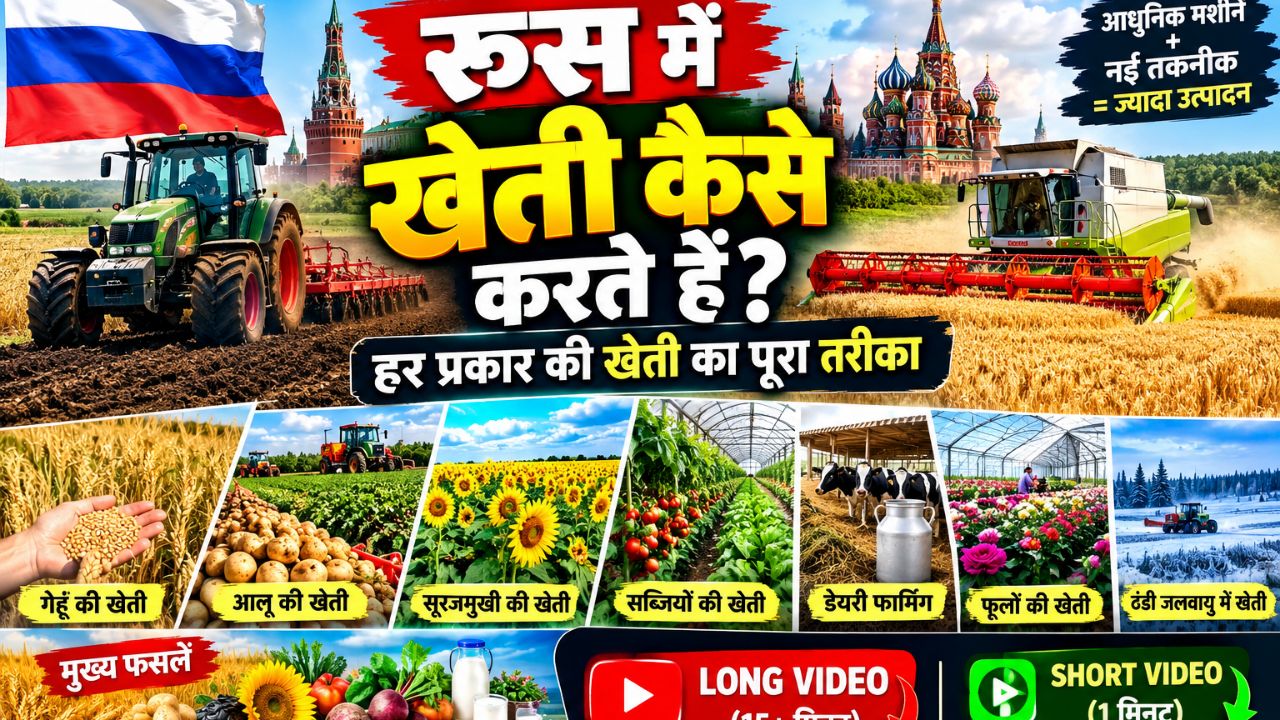 🇷🇺 रूस में होती है हर प्रकार की खेती! गेहूं, चावल, फल और सब्जियों की खेती देखकर हैरान रह जाएंगे 😱