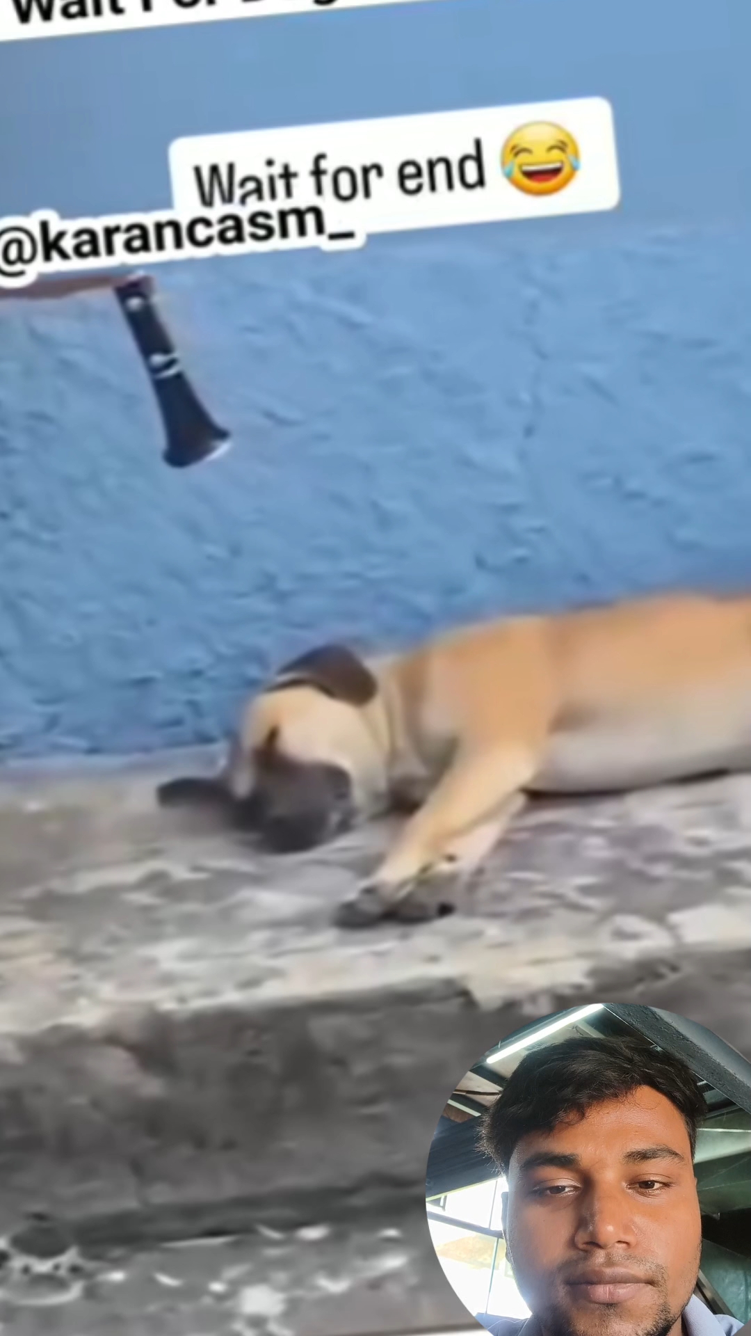 Wait for dogesh || #dog #doglife #reactiondog #funny #viralshorts #treanding #yt #bideoreels #bideoy