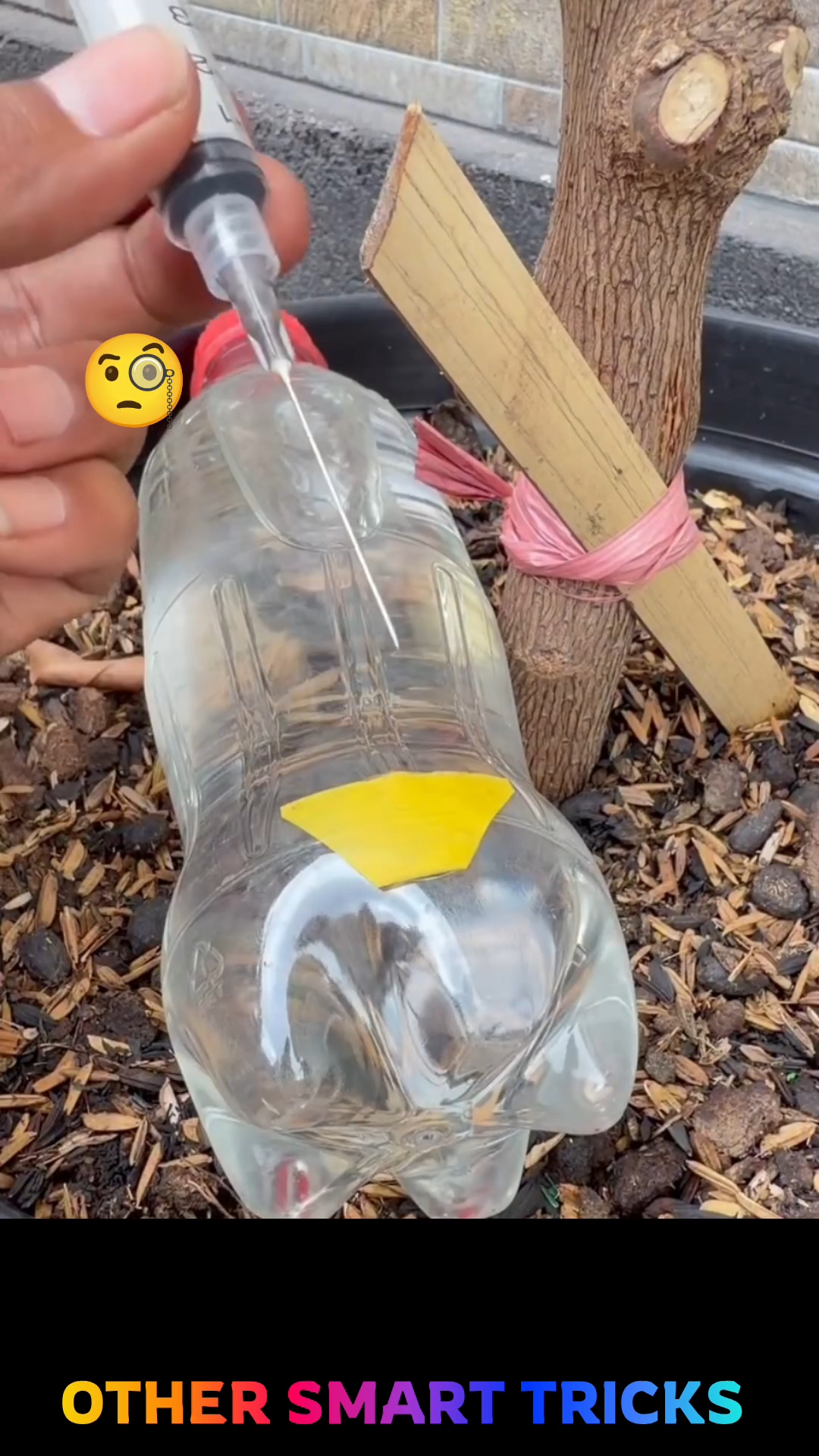 TRICKS