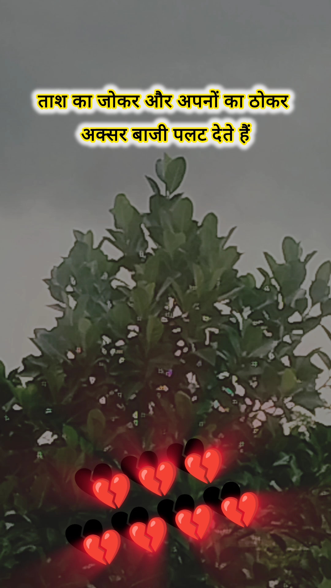 #sadshayari