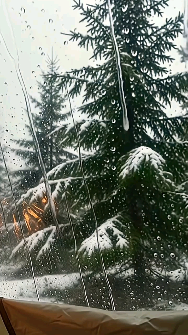 Cozy Camping: Rain storm in a Snowy Forest