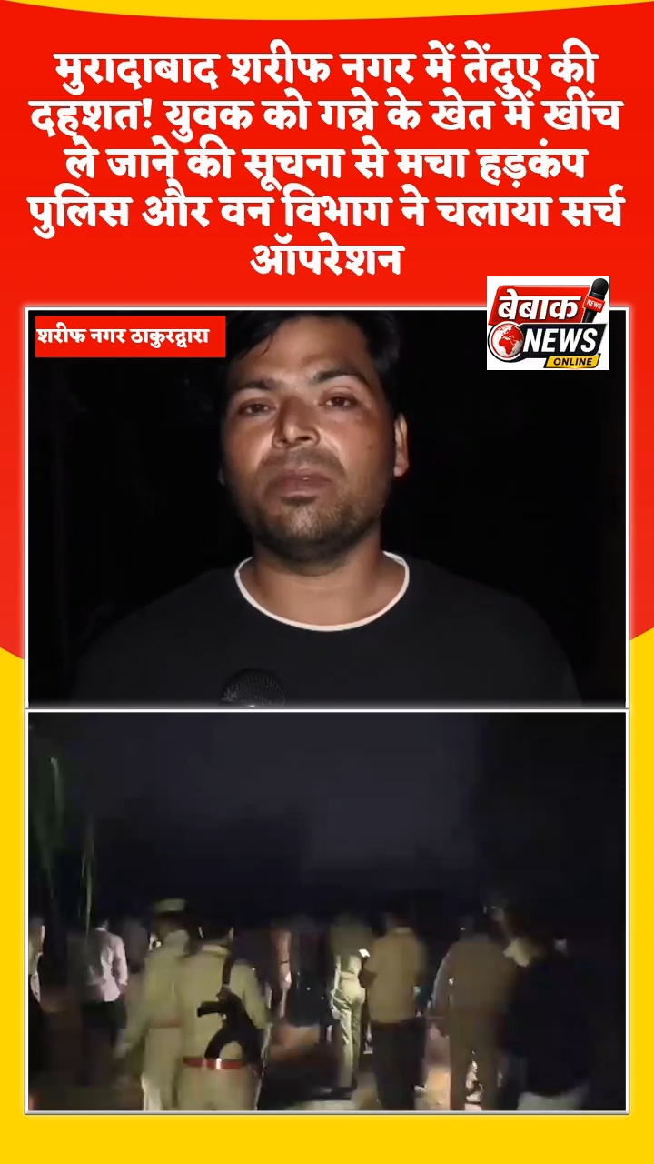 मुरादाबाद शरीफ नगर में तेंदुए की दहशत! युवक को गन्ने के खेत में खींच ले जाने की सूचना से मचा हड़कंप