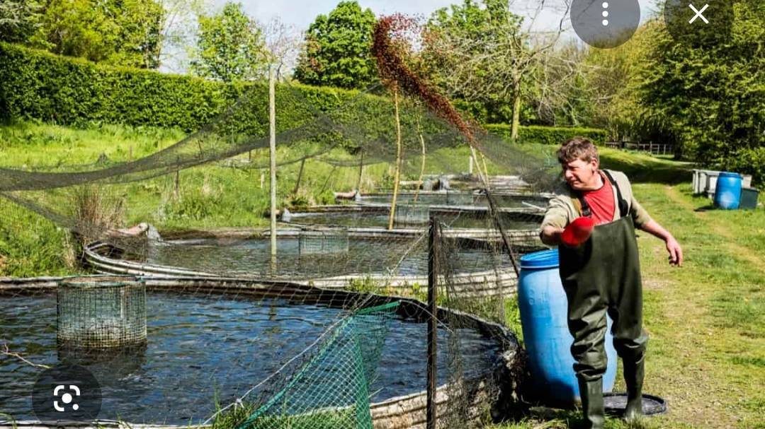 Flof fish farming in farm land