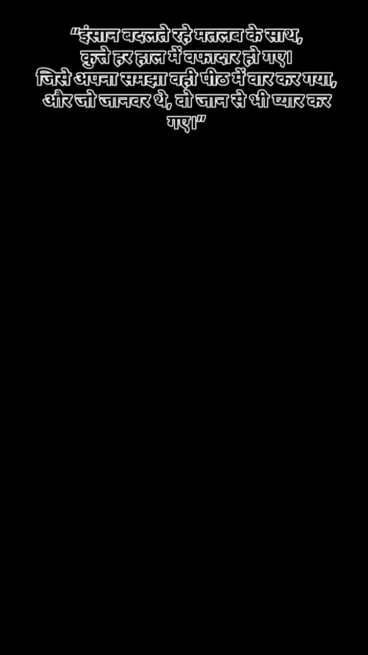 Pyara dog