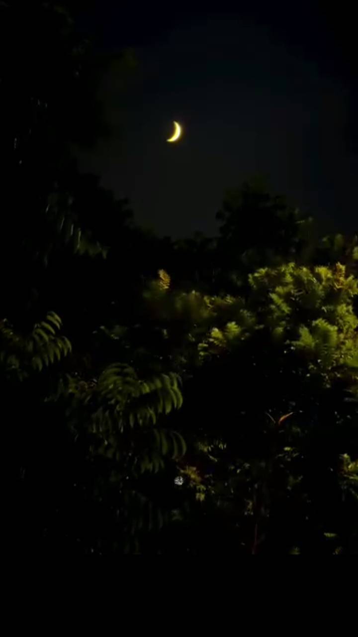 Capital's quiet moon 🌙
