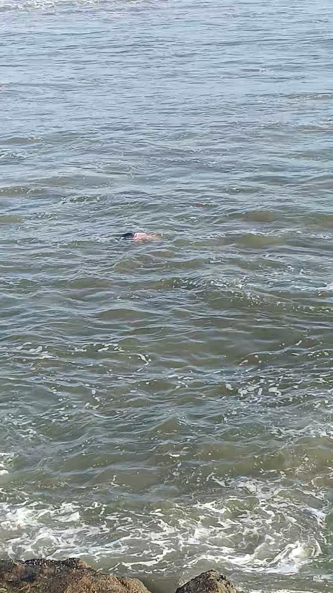 Kerala Sea #kerala