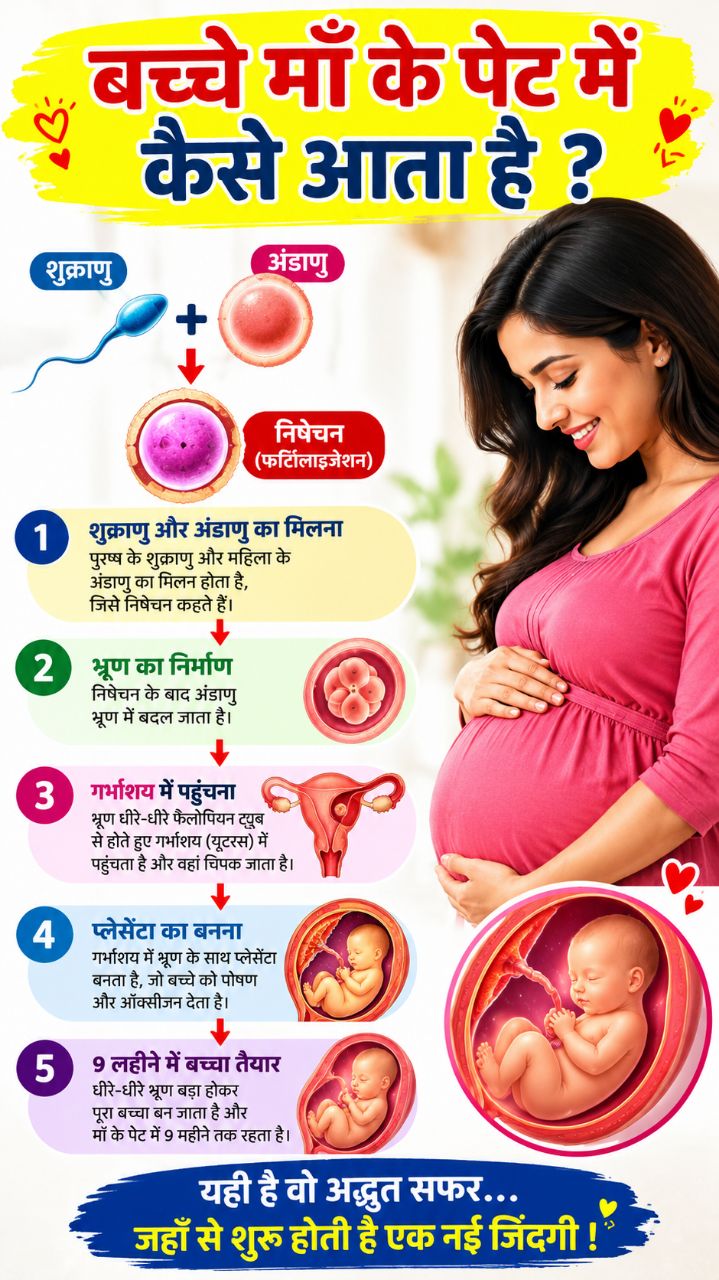 Bachhe ka vikas maa ke garbh me