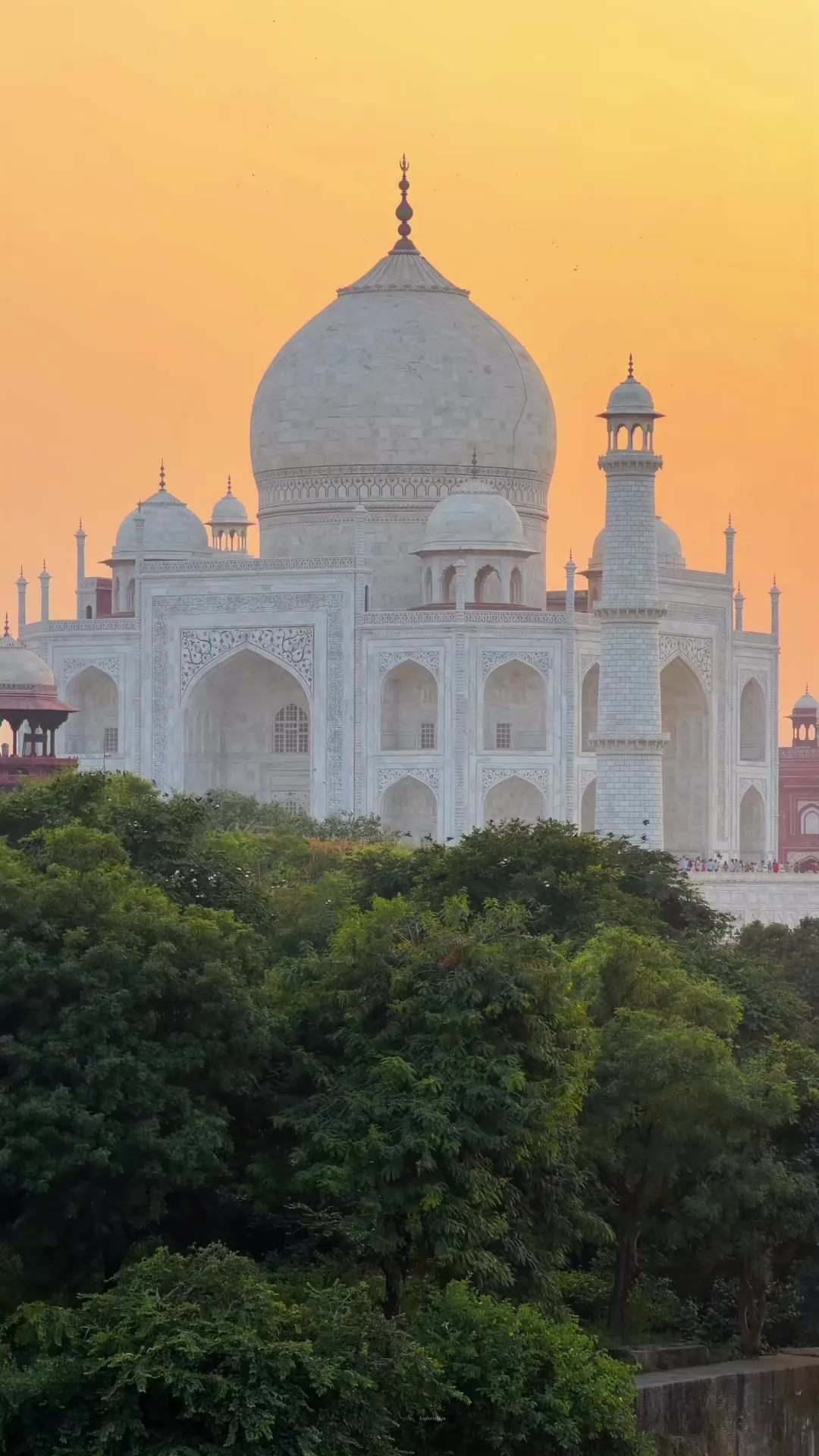 Taj Mahal View nutrel video #reels