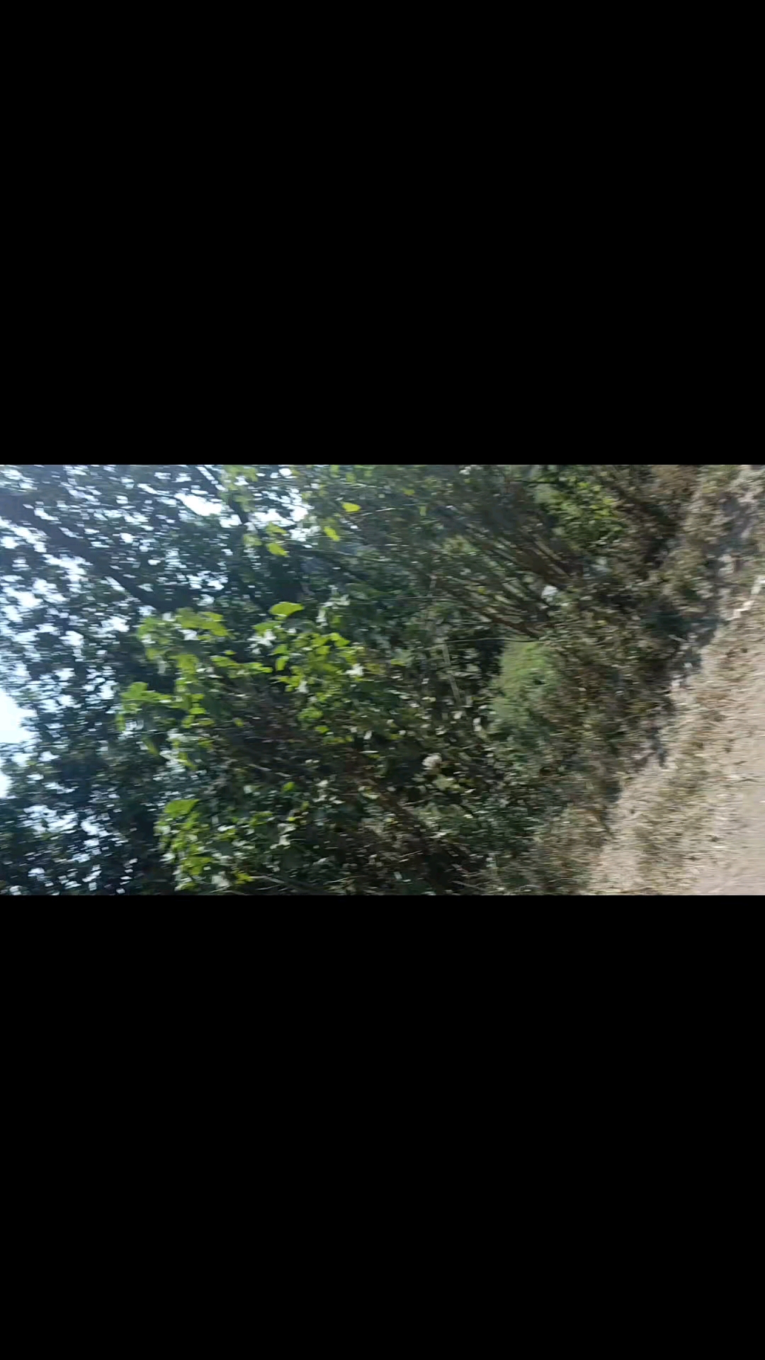 #Minivlogs