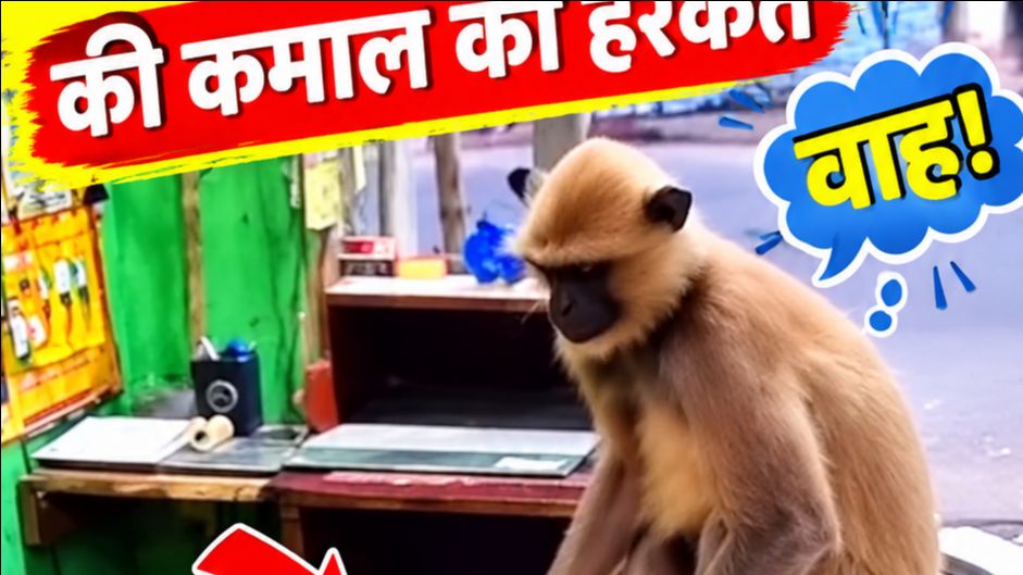 🐒 जब बंदर ने इंसान को लगाया गले 🤗❤️ | इंसानियत और प्यार का अनोखा नज़ारा #shorts