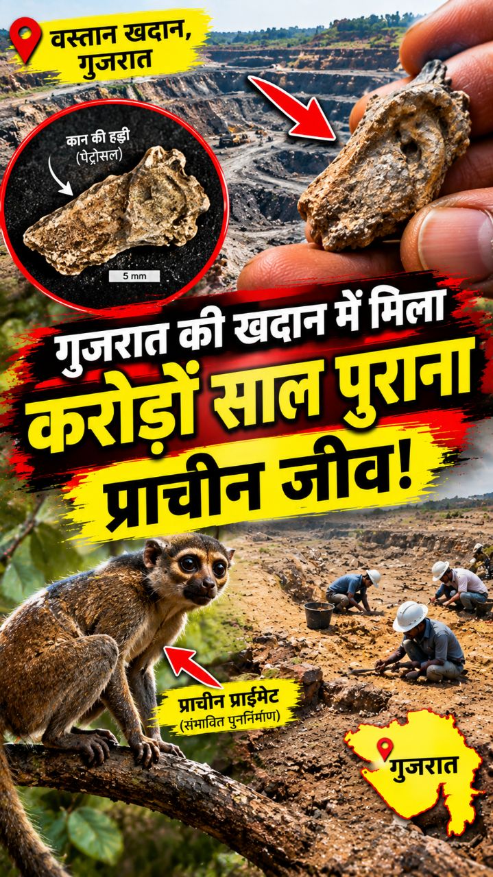 इस जीवाश्म ने खोली प्राचीन दुनिया की कहानी! #Fossils #MysteryFacts