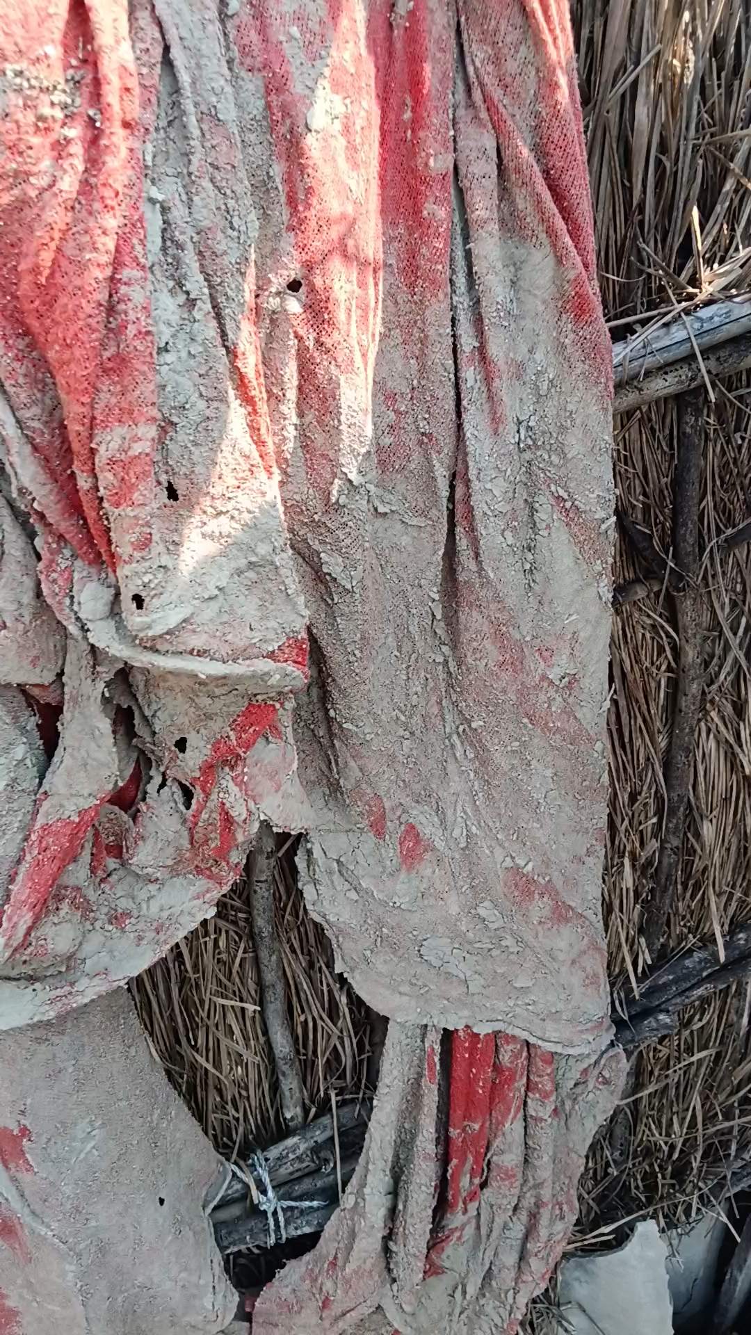28 October 2026