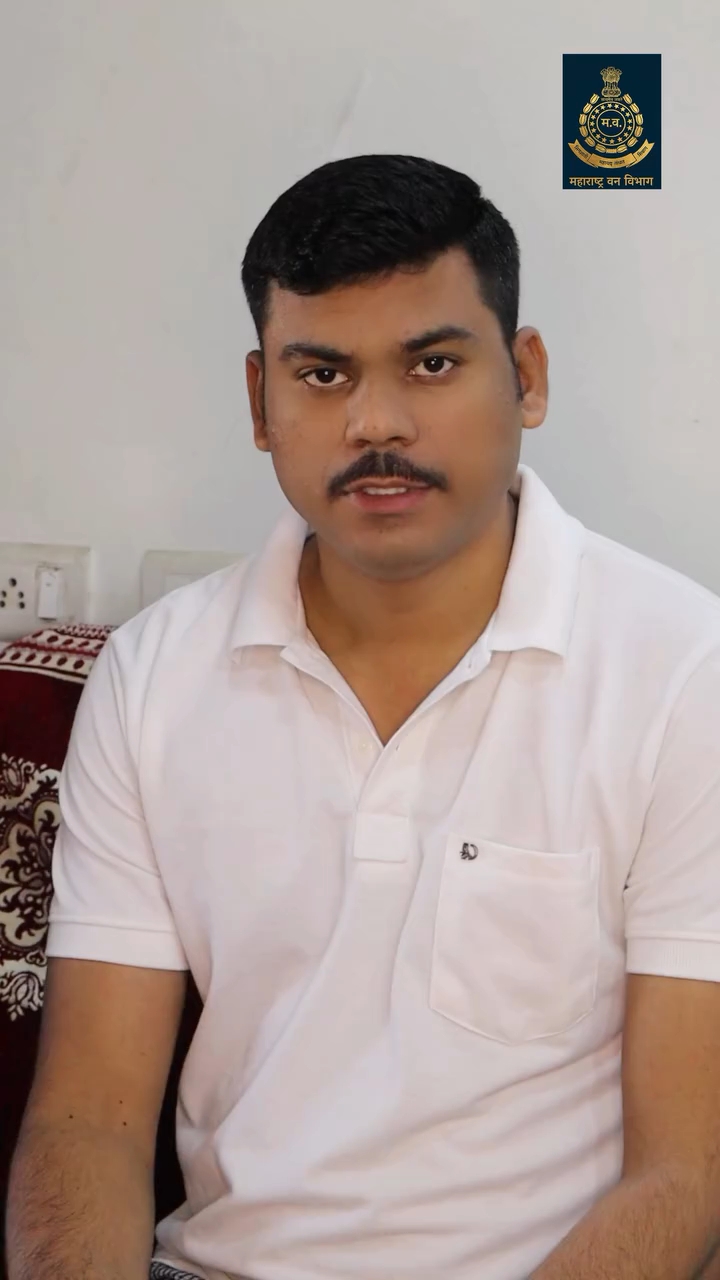 फ़ॉरेस्ट