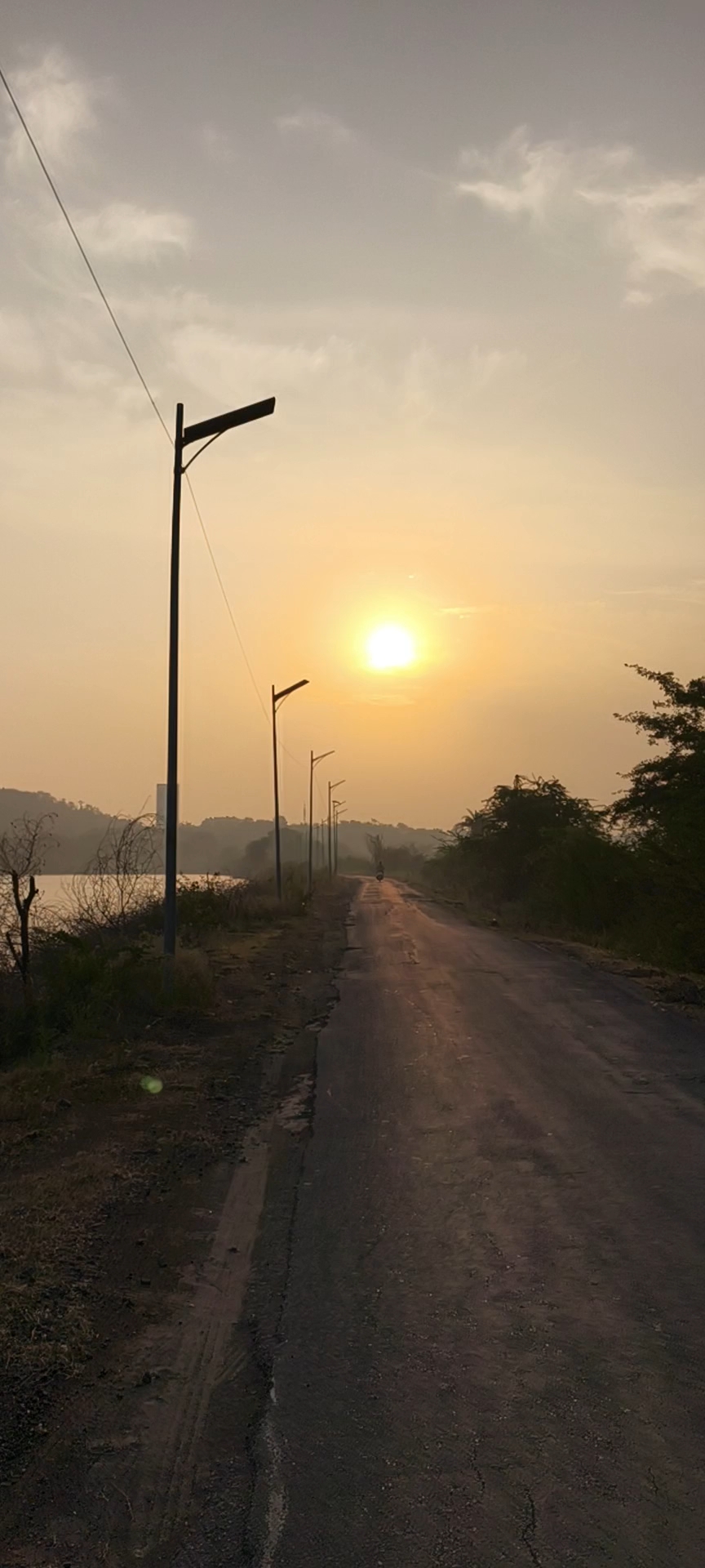 Morning view