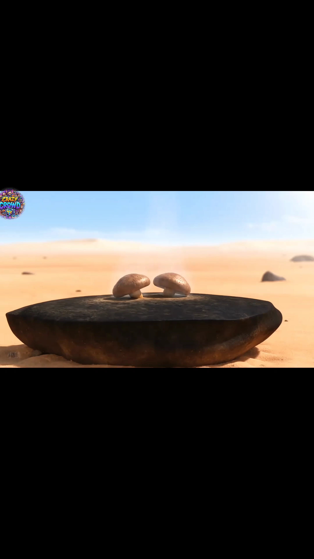 #funny video