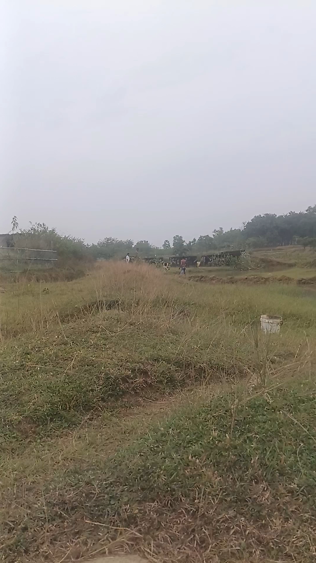 मछली पकड़ने आए हुए हैं