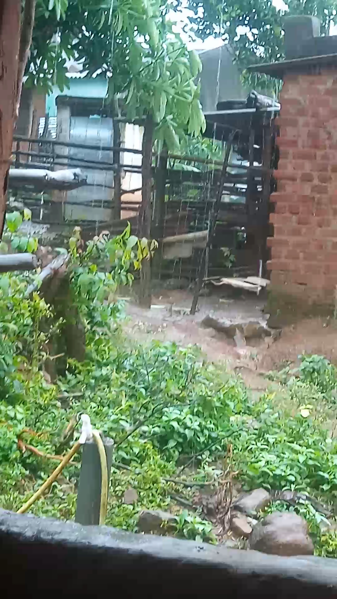 Today arnab cyclone news